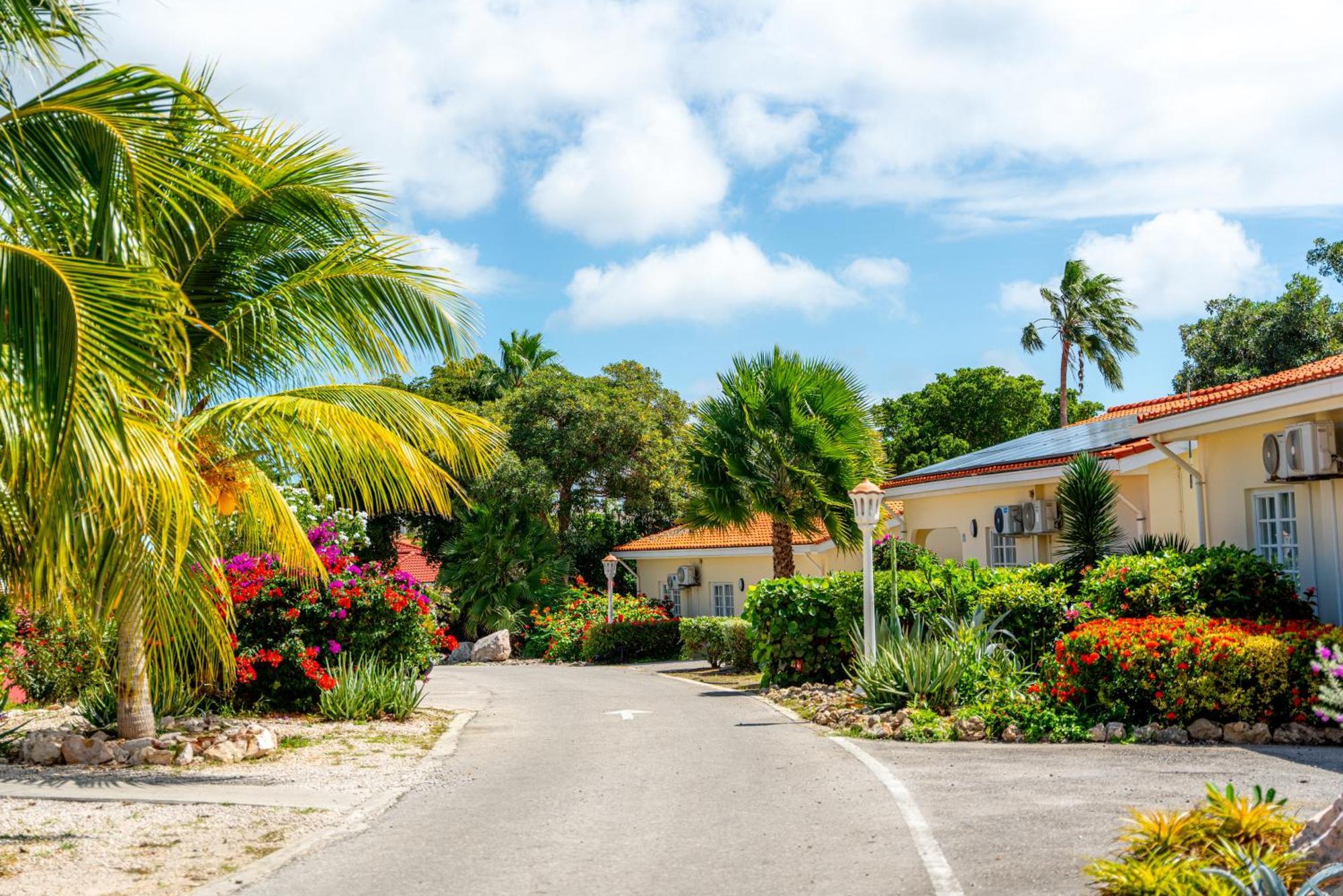 Livingstone Jan Thiel Resort Willemstad Eksteriør bilde