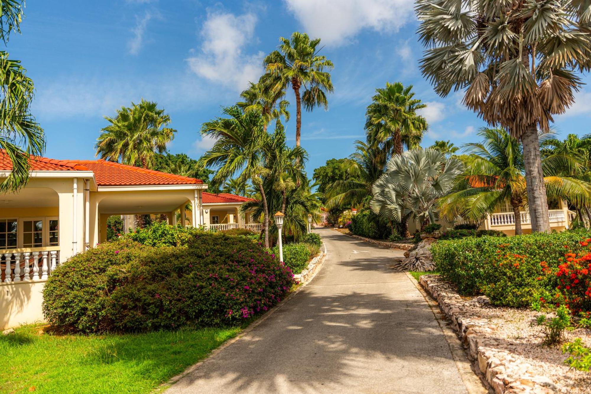 Livingstone Jan Thiel Resort Willemstad Eksteriør bilde